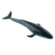 thumbnail image 4 of Ballena Realista Modelo Animal Educación Figura Suave Juguete Para Ni?os Ballena Azul, 4 of 5