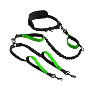 Ioensy - Correa Retráctil Para Perros Con Manos Libres Y Doble Cuerda Elástica Para Ciclismo, Canicross, Color Verde