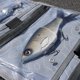 thumbnail image 4 of Bolsa de Cebos Evolution Fishing 25 cm Enrollable Resistente, 4 of 9