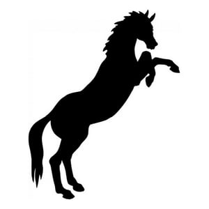 Rienda Libre Graphics - Decomural Horse Jumping Farm Animals Ws-17220