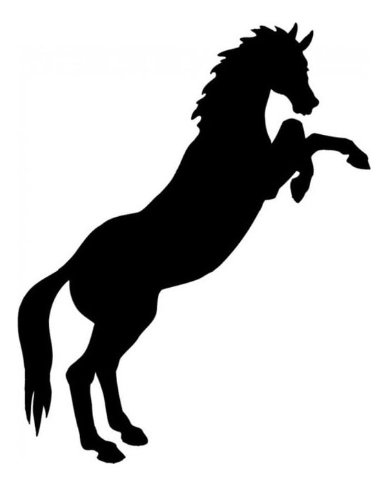 Rienda Libre Graphics - Decomural Horse Jumping Farm Animals Ws-17220