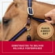 thumbnail image 4 of Cabezada Weaver Equine acolchada de 2,5 cm con liberación de seguridad, 4 of 6