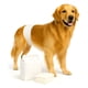 thumbnail image 1 of 120 Pañales Perros Macho Gatos Desechables Incontinencia M Blanco Macho M 55 X 20cm, 1 of 12