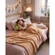 thumbnail image 3 of Set Manta Polar Y Peluche Almohada, 3 of 6