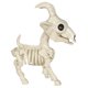 thumbnail image 2 of Figura de Esqueleto de Cabra Pigmea Seasons 28x13x23 cm, 2 of 9