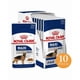 thumbnail image 1 of Royal Canin Maxi Adulto Pouch 140 Gr, 1 of 1