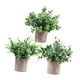 thumbnail image 2 of 3 Piezas De Pequeñas Plantas Falsas En Maceta Para Estante, Sala De Estar, Baño, Estilo E, 2 of 5
