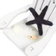 thumbnail image 5 of Set de 4 minisillas de playa Juvale Nautical Home Decor, 10 cm, 5 of 9