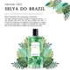 thumbnail image 4 of Perfume Berdoues Selva Do Brasil Eau de Parfum, 100 ml, para mujer y hombre, 4 of 6