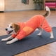 thumbnail image 4 of Suéter para perro Pet Life ® Active Downward-Dog, de cuerpo completo, fitness, 4 of 9