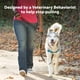 thumbnail image 3 of Arnés para perros PetSafe Easy Walk Deluxe No Pull Small Ocean, 3 of 8