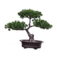 thumbnail image 1 of Planta De Maceta De árbol De Bienvenida Artificial Bonsai Versátil Para Hall Vestibule Style A, 1 of 6