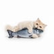 thumbnail image 1 of Juguete Gato Pez Catnip 60 Cm, 1 of 3