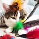 thumbnail image 5 of Juguetes de plumas para gatos TIENAILING, 8 repuestos, 5 of 6