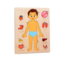 Bothyi - Rompecabezas Montessori Del Cuerpo Humano, Habilidades Motoras Finas, Aprendizaje De Partes Del Cuerpo Para Niños Y Niños