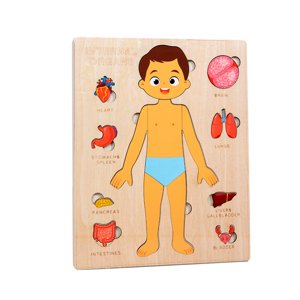 Bothyi - Rompecabezas Montessori Del Cuerpo Humano, Habilidades Motoras Finas, Aprendizaje De Partes Del Cuerpo Para Niños Y Niños