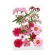 thumbnail image 3 of Kits De Hojas Secas De Flores Prensadas Secas Para álbumes De Recortes, Sobres, Marcadores, Mezcla Rosa, 3 of 5