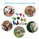 thumbnail image 5 of Paquete de juguetes para perros LEGEND SANDY Squeaky Plush para cachorros y perros pequeños, 5 of 9