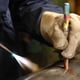 thumbnail image 2 of Indicador de temperatura Heat Stick Markal Thermomelt 325°C, 2 of 2