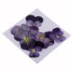 thumbnail image 1 of 10 Flores Prensadas Secas Para Manualidades De álbum De Recortes, Flores Violetas., 1 of 3