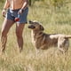 thumbnail image 5 of Juguete para perros Chuckit! Ultra Tug para perros de 9 a 27 kg con pelota, 5 of 6
