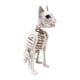 thumbnail image 1 of Esqueleto De Gato Sentado, Decoración De Halloween, Versátil Y Espeluznante, Material PP Blanco, 1 of 5