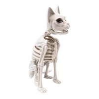 Bothyi - Esqueleto De Gato Sentado, Decoración De Halloween, Versátil Y Espeluznante, Material Pp Blanco