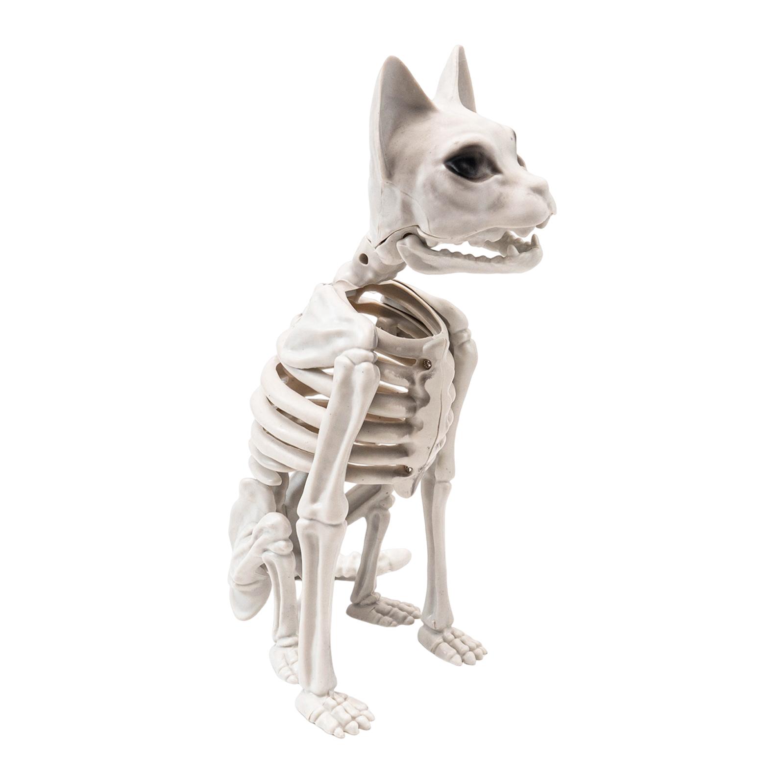 Bothyi - Esqueleto De Gato Sentado, Decoración De Halloween, Versátil Y Espeluznante, Material Pp Blanco