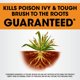 thumbnail image 4 of Herbicida Roundup Poison Ivy Plus para maleza resistente 946 ml, 4 of 9
