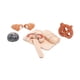 thumbnail image 4 of Juguete de madera para cortar, juguete de comida, juguete de motricidad fina, juego de juguetes de madera para cortar para niños y niñas de 3 a 8 años, 4 of 5