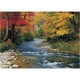 thumbnail image 2 of Puzzle Larkipuzz 1000 Piezas Bosque Otoñal 70x50cm, 2 of 3