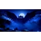 thumbnail image 3 of Ori And The Blind Forest Nintendo Switch Físico blanco, 3 of 5