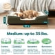 thumbnail image 3 of Cama Ortopédica Furhaven Mediana Verde Funda Lavable, 3 of 3