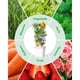 thumbnail image 3 of Kit Hidropónico Vertical SJZXUV 6C5K 30 Plantas Interior Exterior, 3 of 3
