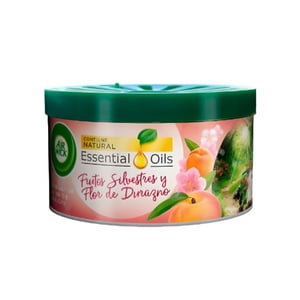 Gel Aromatizante Frutos Silvestres 70Grs - Air Wick