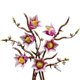 thumbnail image 2 of Set LEGO Botanical Magnolia 42 cm 435 piezas, 2 of 9