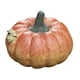 thumbnail image 1 of Estatua De Calabaza Con Forma De Rana, Decoración De Mesa Para Oficina, Estantería, Sala De Estar, Calabaza Corta, 1 of 4