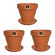 thumbnail image 1 of Set 3 Maceteros Kony Terracota 15 cm + Plato, 1 of 6