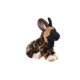 thumbnail image 2 of Peluche Wild Republic para perros salvajes africanos, 20 cm, 2 of 2