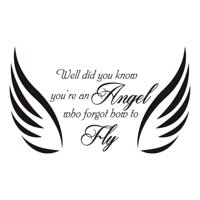 Rienda Libre Graphics - Decomural Angel Wings Justin Bieber Fall Ws-40823