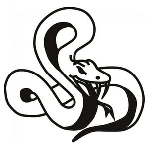 Rienda Libre Graphics - Decomural Snake Reptile Animals Ws-17924