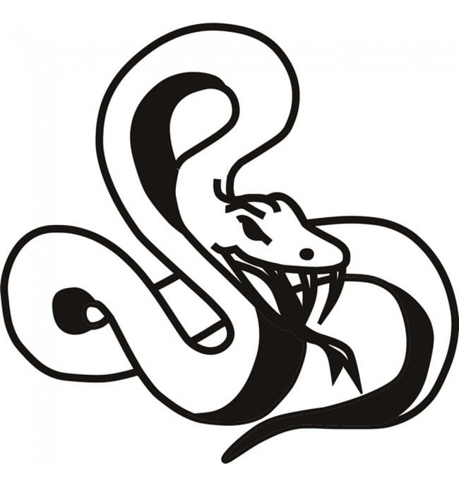 Rienda Libre Graphics - Decomural Snake Reptile Animals Ws-17924