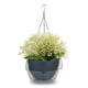 thumbnail image 5 of Bandejas de goteo Plant Saucers Idyllize de plástico transparente de 25 cm, 5 unidades, 5 of 5