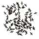 thumbnail image 1 of 100 Piezas De Plástico Falsas Hormigas Modelo Figura Set Niños Juguete Fiesta Favores Negro, 1 of 5