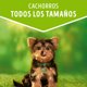 thumbnail image 2 of Alimento Húmedo Cachorro Sabor Carne Pouch, 100 g, 2 of 7