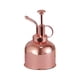 thumbnail image 4 of 300ml Metal Planta Flores Regaderas Olla Pulverizador Botella Pulverizador Oro Rosa, 4 of 5