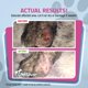 thumbnail image 4 of Spray para heridas y piel PetSilver Chelated Silver 473 ml para perros y gatos, 4 of 9