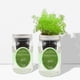 thumbnail image 4 of Kit de cultivo hidropónico de eneldo Environet para interior, 4 of 8