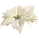 thumbnail image 1 of Ramo 5 Flores De Navidad Flores Navidenas Adornos De Navidad, 1 of 3