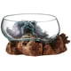 thumbnail image 1 of Terrarium Cohasset de vidrio fundido #658 -20, boca ancha, 20 cm, 1 of 4